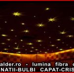 TERMINATII-BULBI CRISTAL