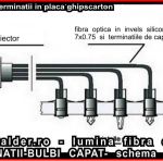 TERMINATII-BULBI CRISTAL