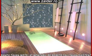 TAVAN INSTELAT in PISCINE si centre spa