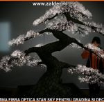 tavan instelat in gradina si ormanent divers