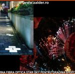 tavan instelat in gradina si ormanent divers