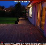 tavan instelat in gradina si ormanent divers