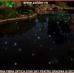 tavan instelat in gradina si ormanent divers