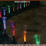 tavan instelat in gradina si ormanent divers