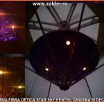 tavan instelat in gradina si ormanent divers